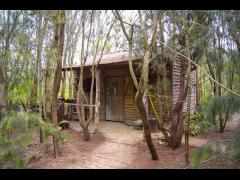 A Little Bush Hut
